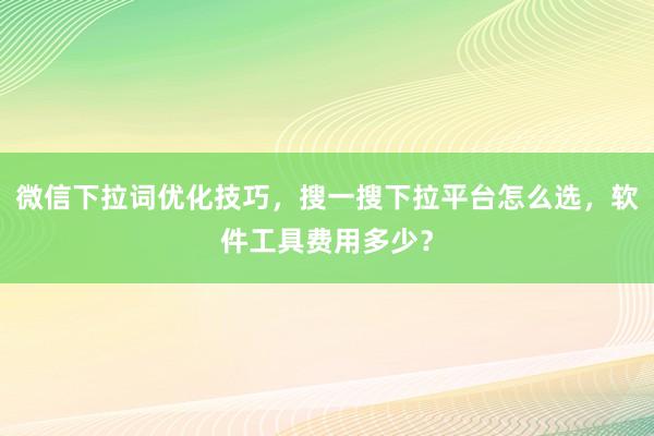 微信下拉词优化技巧，搜一搜下拉平台怎么选，软件工具费用多少？