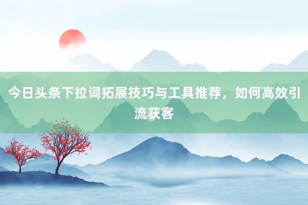 今日头条下拉词拓展技巧与工具推荐，如何高效引流获客