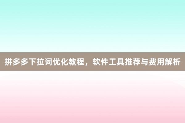 拼多多下拉词优化教程，软件工具推荐与费用解析