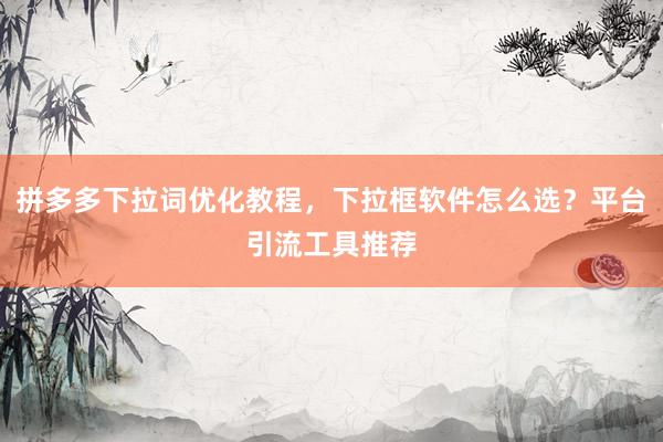 拼多多下拉词优化教程，下拉框软件怎么选？平台引流工具推荐