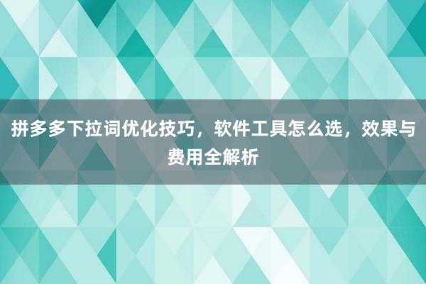 拼多多下拉词优化技巧，软件工具怎么选，效果与费用全解析