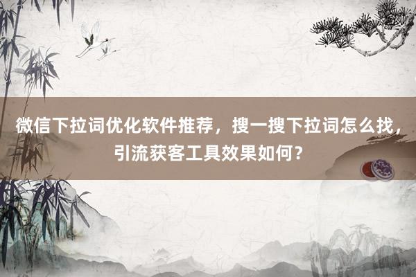 微信下拉词优化软件推荐，搜一搜下拉词怎么找，引流获客工具效果如何？
