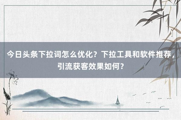今日头条下拉词怎么优化？下拉工具和软件推荐，引流获客效果如何？