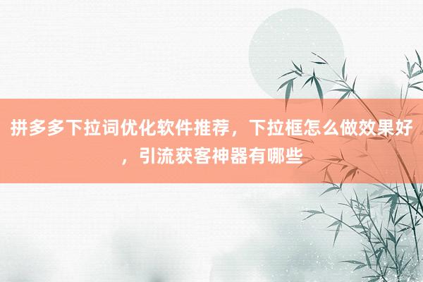 拼多多下拉词优化软件推荐，下拉框怎么做效果好，引流获客神器有哪些