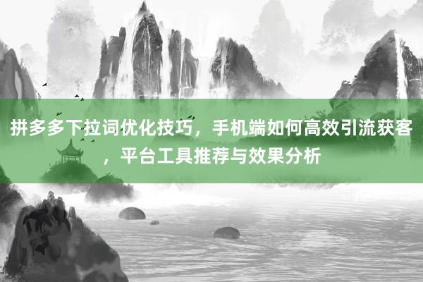 拼多多下拉词优化技巧，手机端如何高效引流获客，平台工具推荐与效果分析